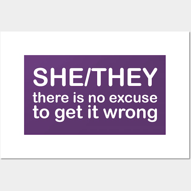 Pronouns: SHE/THEY - there is no excuse to get it wrong *white text* Wall Art by Stacey Leigh